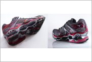Mizuno Wave Prophecy